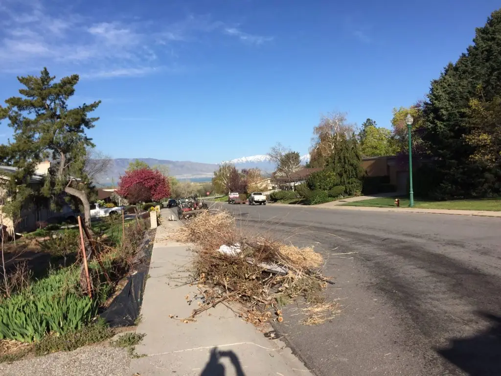 Big pile of debris blocking street sweeper's way.