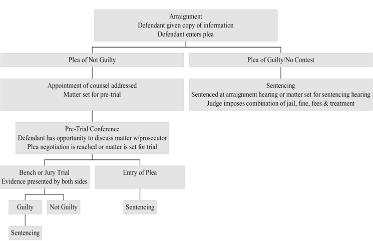 Flow chart of how the process at the Orem Justice Court works