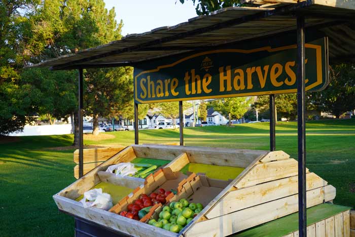 Photo of the 'Share the Harvest' produce cart thats placed in the City Center Park near the senior center.