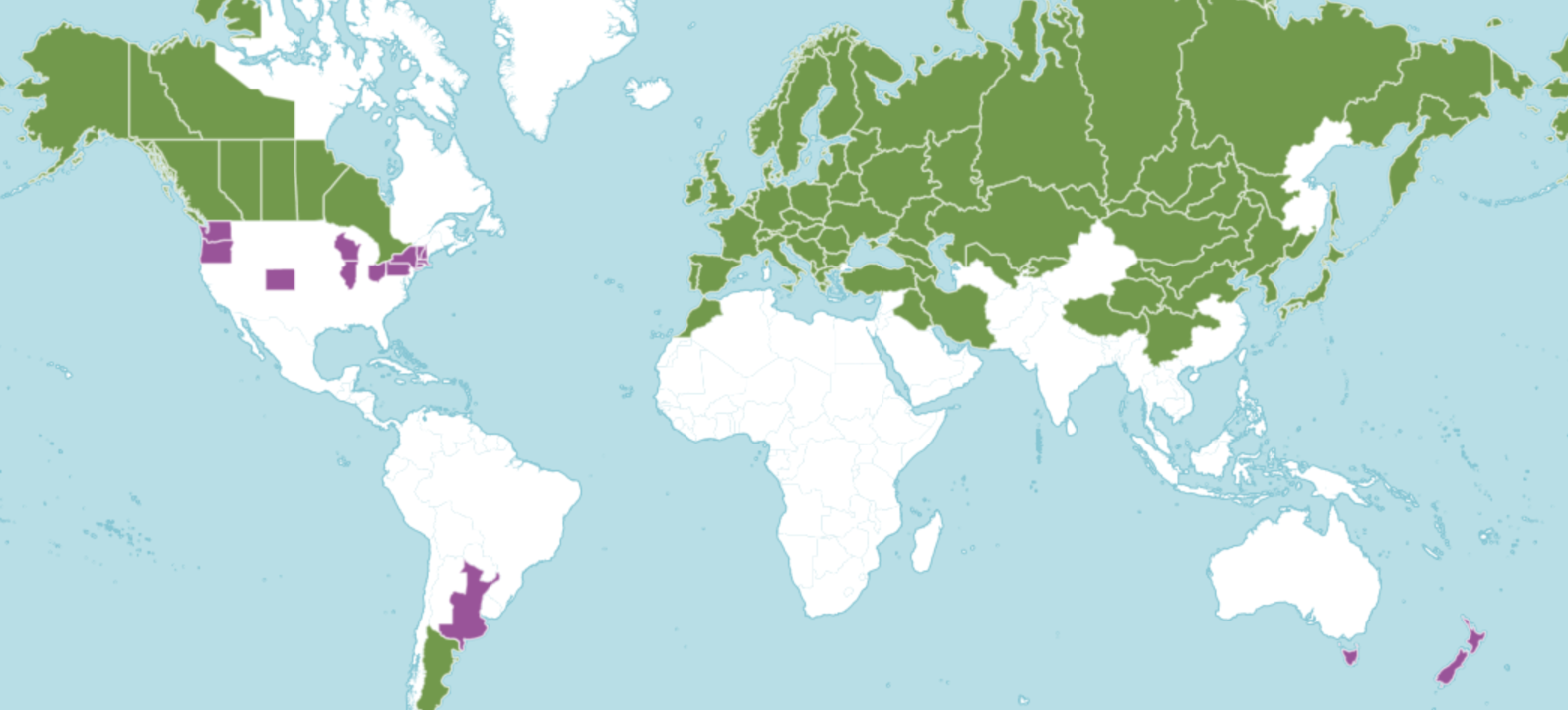 Distribution map of Betula pendula (POWO, 2024)