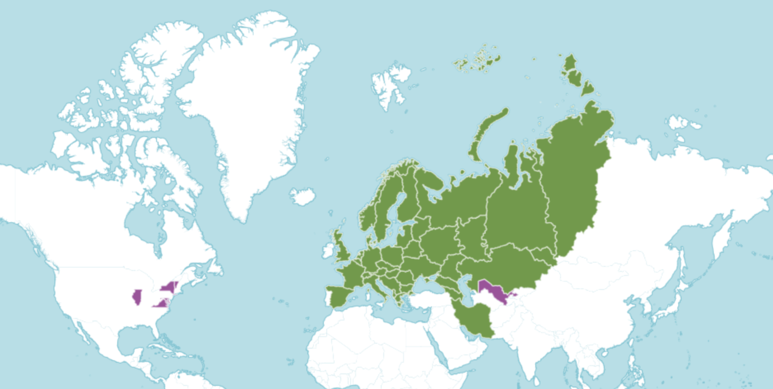 Distribution map of Tilia cordata. Green indicates the native range and purple indicates where it has been introduced (POWO, 2024)